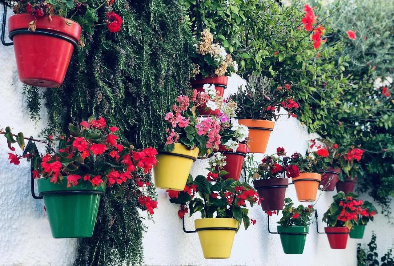 Holiday home Casa De Dolores Estepona